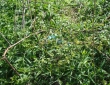 web001