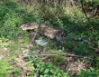 web008