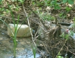 web013