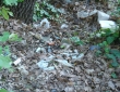 web022