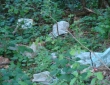 web024