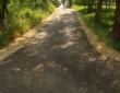image045