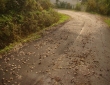 slika033