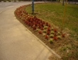 image001