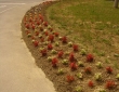 image002