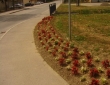 image003