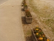 image004