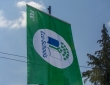 DSC06355