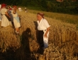 DSC02350