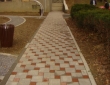 DSC03995