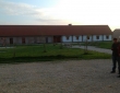 39-IMAG1539