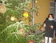 DSC04037