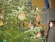 DSC04038
