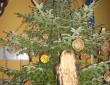DSC04039