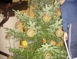 DSC04043