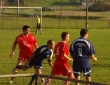 11-DSC08983