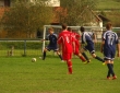 33-DSC08604