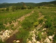 DSC04980