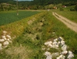 DSC04984