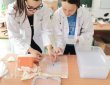 Eko-Laboratorij-2