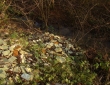 10-DSC09466