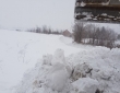 20180222_113848_resized