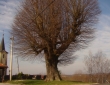 image008