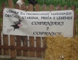 image005