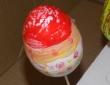 DSCN3025