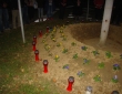 image004